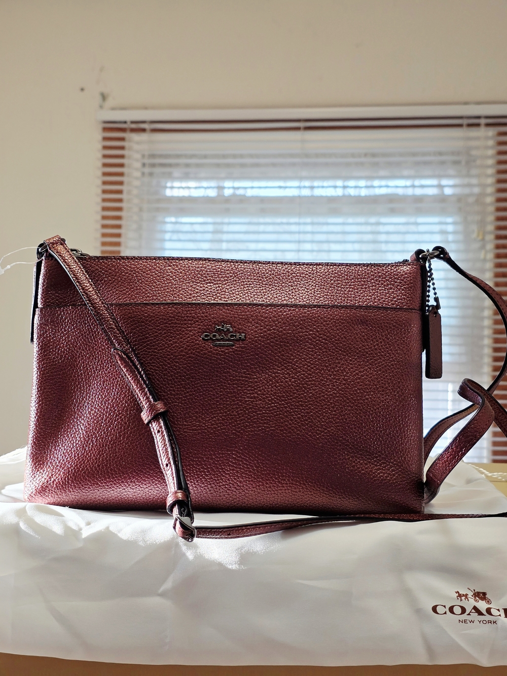 COACH Metallic Journal Crossbody In QB/Metallic Cherry - Picture 2 of 8